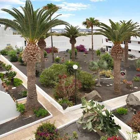 Coqueto بويرتو ذيل كارمين